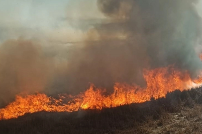 Beyşehir’de sazlık yangını