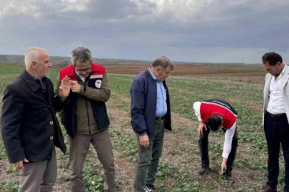 Tekirdağ’da Kanola Ekim Denemesi