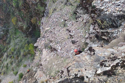 keçiler kayalıklarda mahsur kaldı