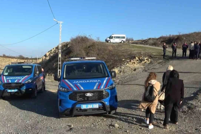 Samsun’da 9 köpeğin telef olması: Başkan Kurnaz’dan tepki