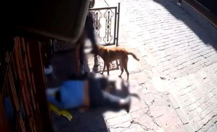 Beyoğlu’nda "pes" dedirten olay: Sara nöbeti sonrası bayılan adamın telefonunu çaldılar