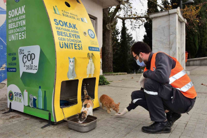 Yıldırım Belediyesi’nden sokak hayvanlarına sıcak yuva